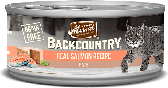 Merrick Backcountry Grain Free Real Salmon Recipe Paté